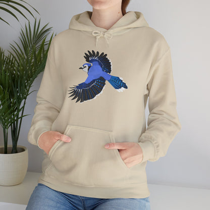 Blue Jay Bird Birdwatcher Biologist Birdlover Hoodie