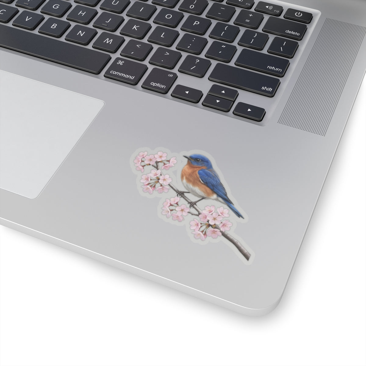 Bluebird Cherry Blossom Sticker | Glossy Floral Bird Decal | Spring Laptop Sticker