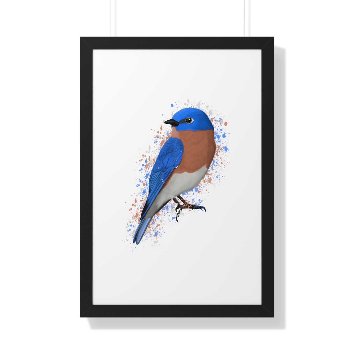 bluebird bird art framed poster