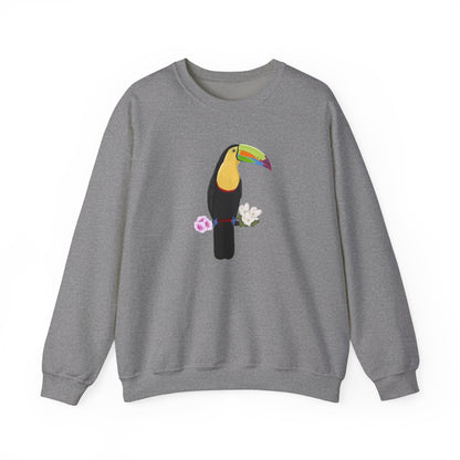 Keel-Billed Toucan Birdlover Ornithologist Bird Sweatshirt