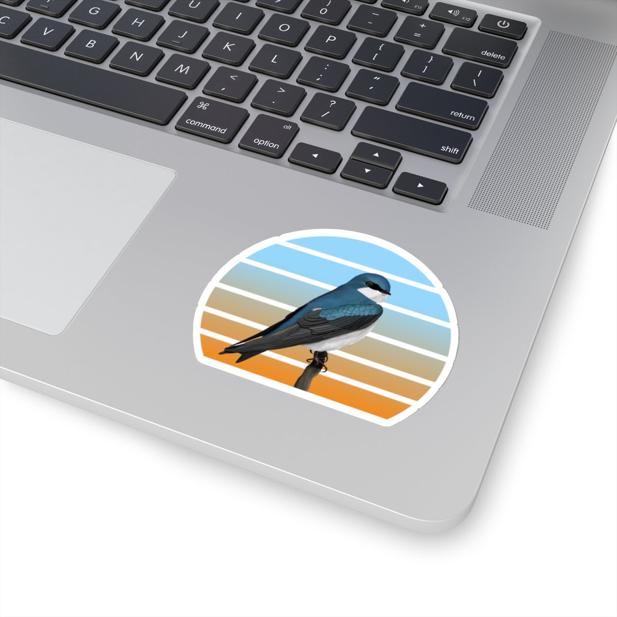 Tree Swallow Bird Sticker