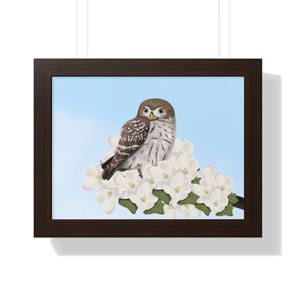 Little Owl Spring Blossoms Bird Framed Poster