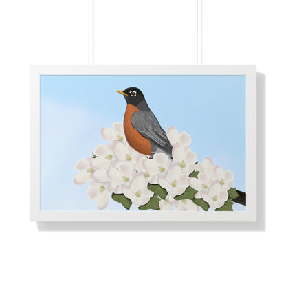 Robin Spring Blossoms Bird Framed Poster