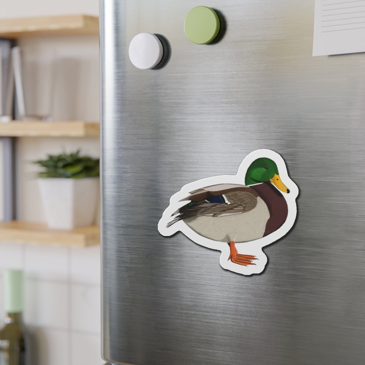 Mallard Bird Magnet