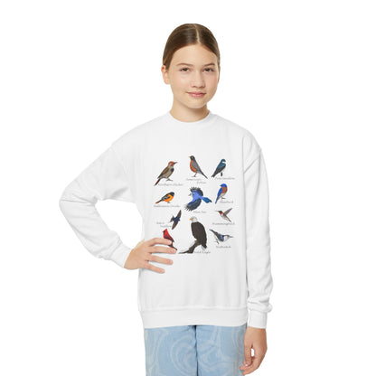 Bald Eagle Blue Jay Bluebird Robin Cardinal Hummingbird Bird Birdwatching Youth Crewneck Sweatshirt