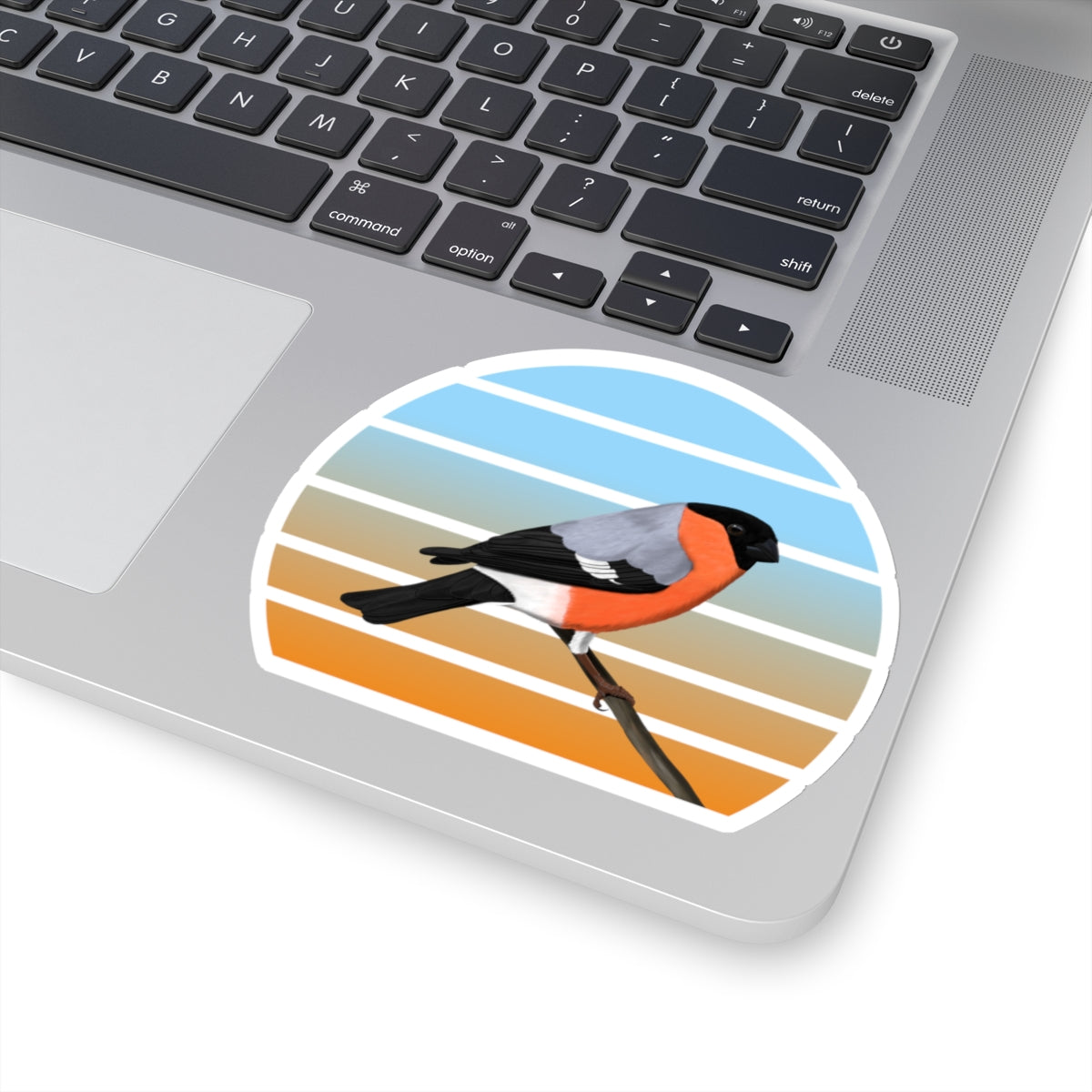 Bullfinch Bird Sticker