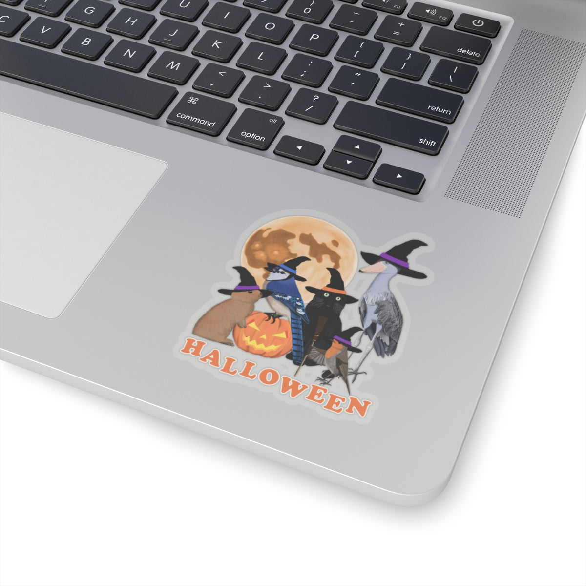 Blue Jay Robin Shoebill with Cat and Bunny Halloween Bird Sticker