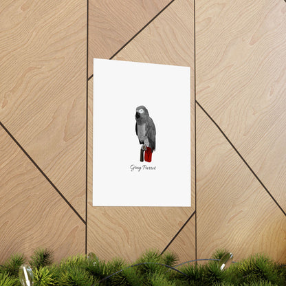 Grey Parrot Bird Birding Matte Poster