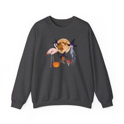 Robin Flamingo Shoebill Halloween Birds Witch Birdwatcher Sweatshirt