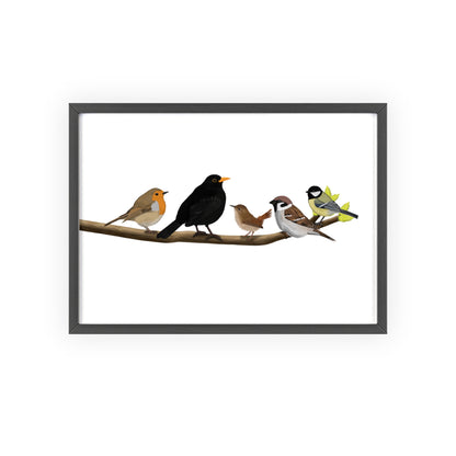 Vogel Poster im Holzrahmen - Vögel auf einem Ast Poster Amsel Rotkehlchen Zaunkönig Spatz Kohlmeise