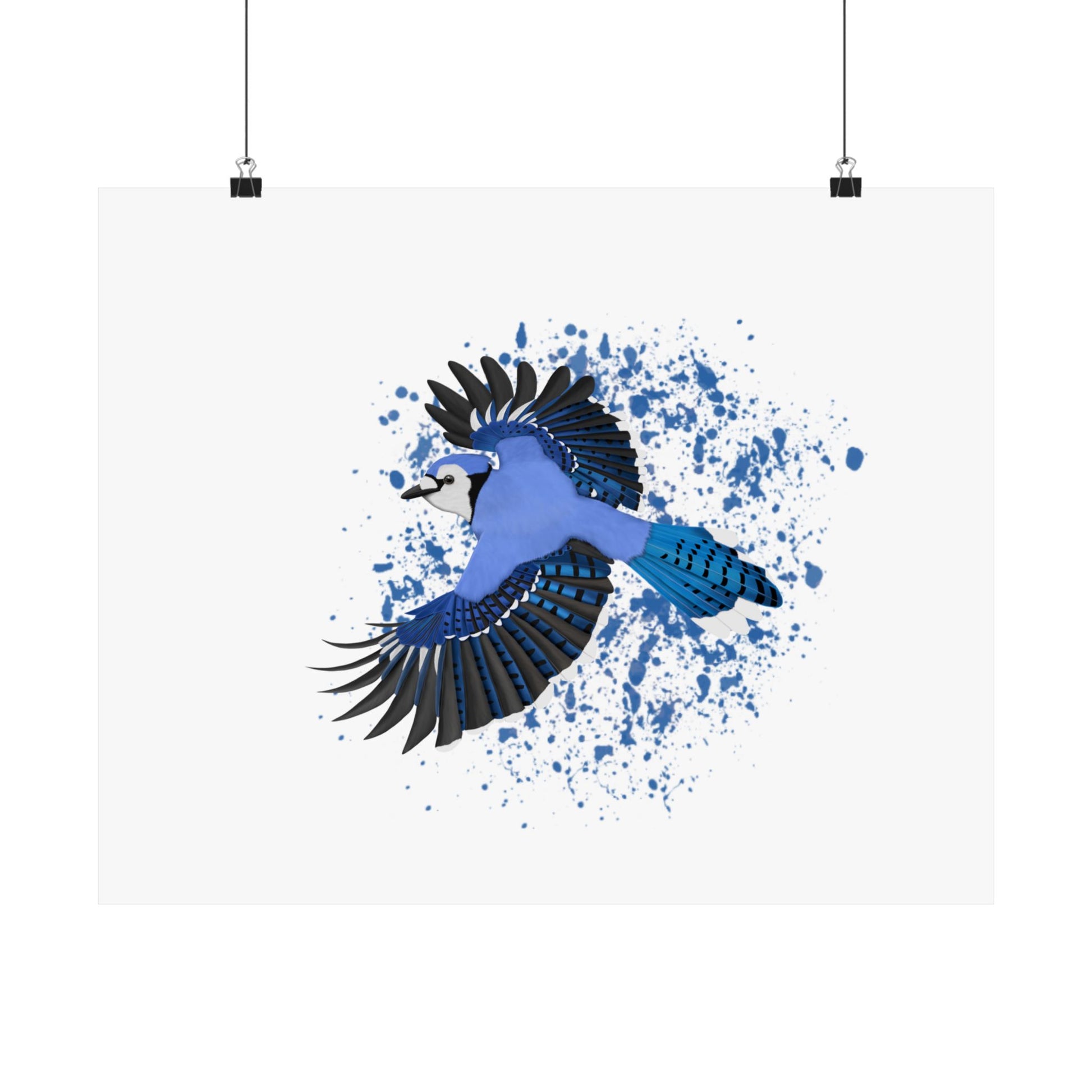 Blue Jay Poster – bird posters, Home & Living