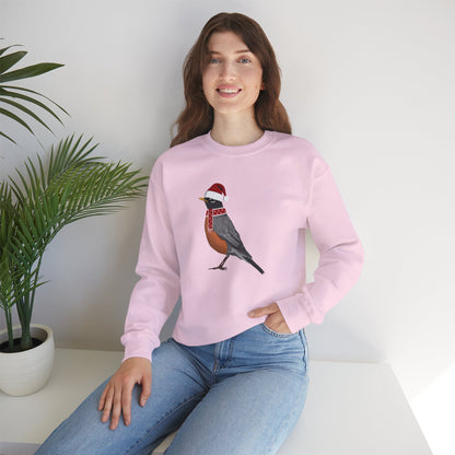 Robin with Christmas Hat Bird Birdwatcher Sweatshirt