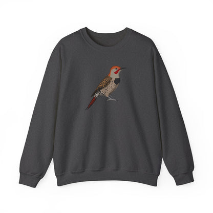 Northern Flicker Bird Watcher Biologist Crewneck Sweatshirt