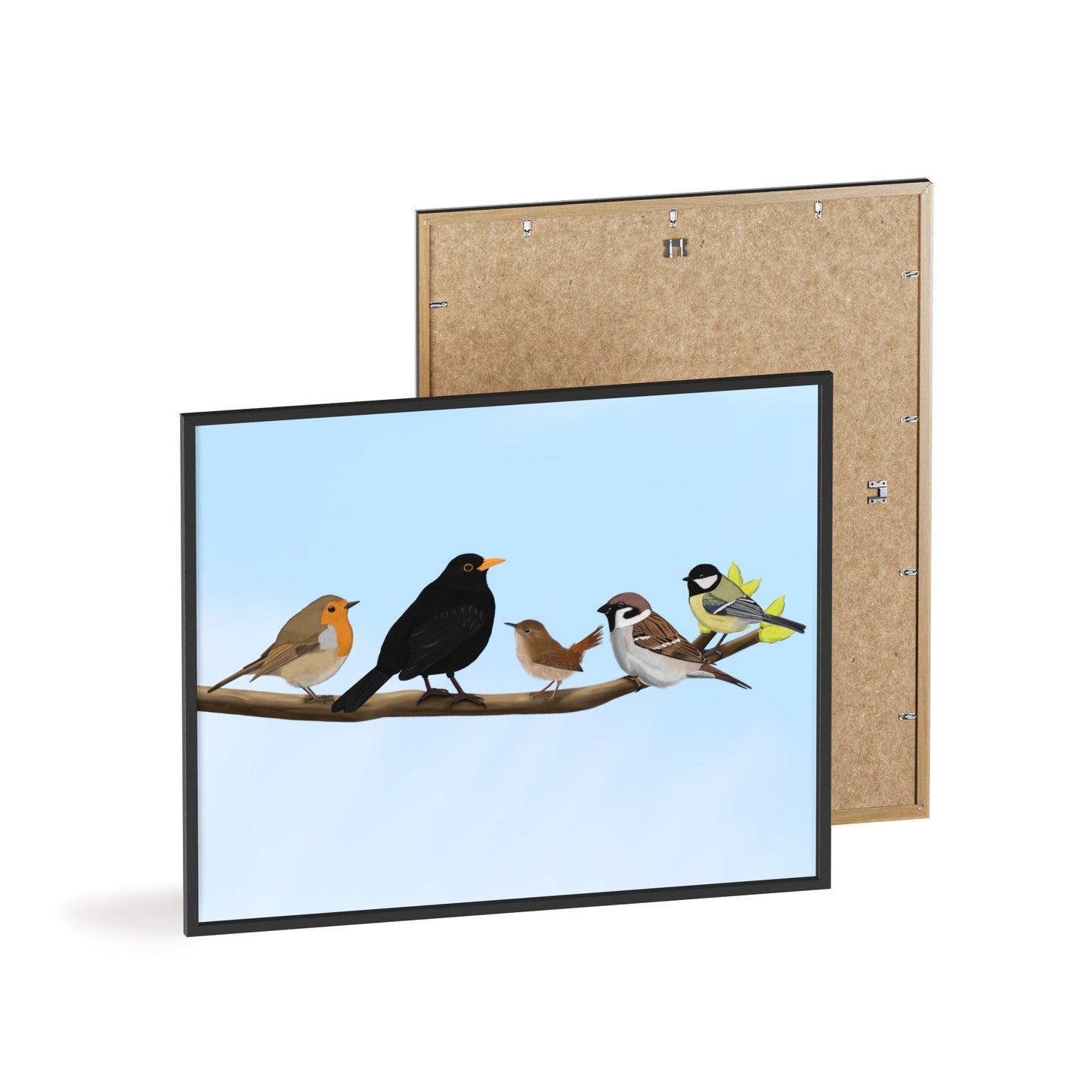 Vogel Poster im Holzrahmen - Vögel auf einem Ast Poster Amsel Rotkehlchen Zaunkönig Spatz Kohlmeise