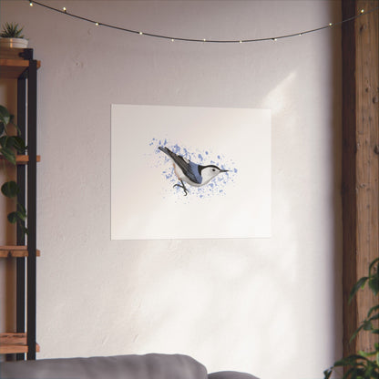 Nuthatch Bird Artwork Matte Poster