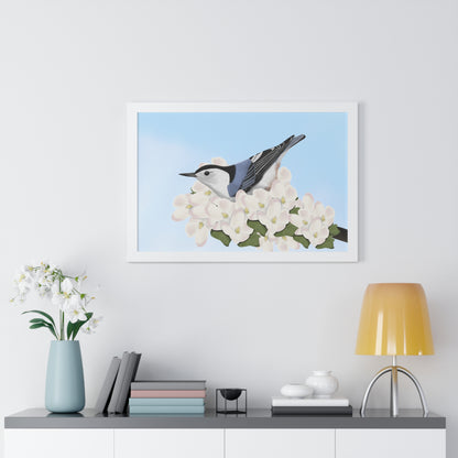 Nuthatch Spring Blossoms Bird Framed Poster