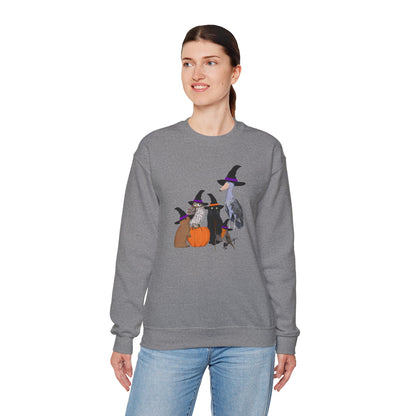 Robin Shoebill Owl Rabbit with Cat Happy Halloween Birds Sweatshirt