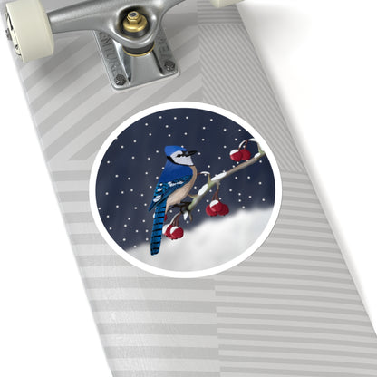 Blue Jay on a Winter Branch Christmas Bird Sticker