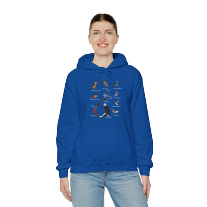 Blue Jay Cardinal Hummingbird Bald Eagle Robin Bird Hoodie