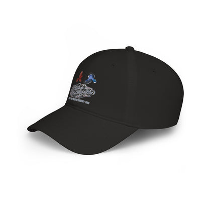 Nature's Red, White & Blue Baseball Cap | Blue Jay Cardinal USA 250 Edition | jz.birds