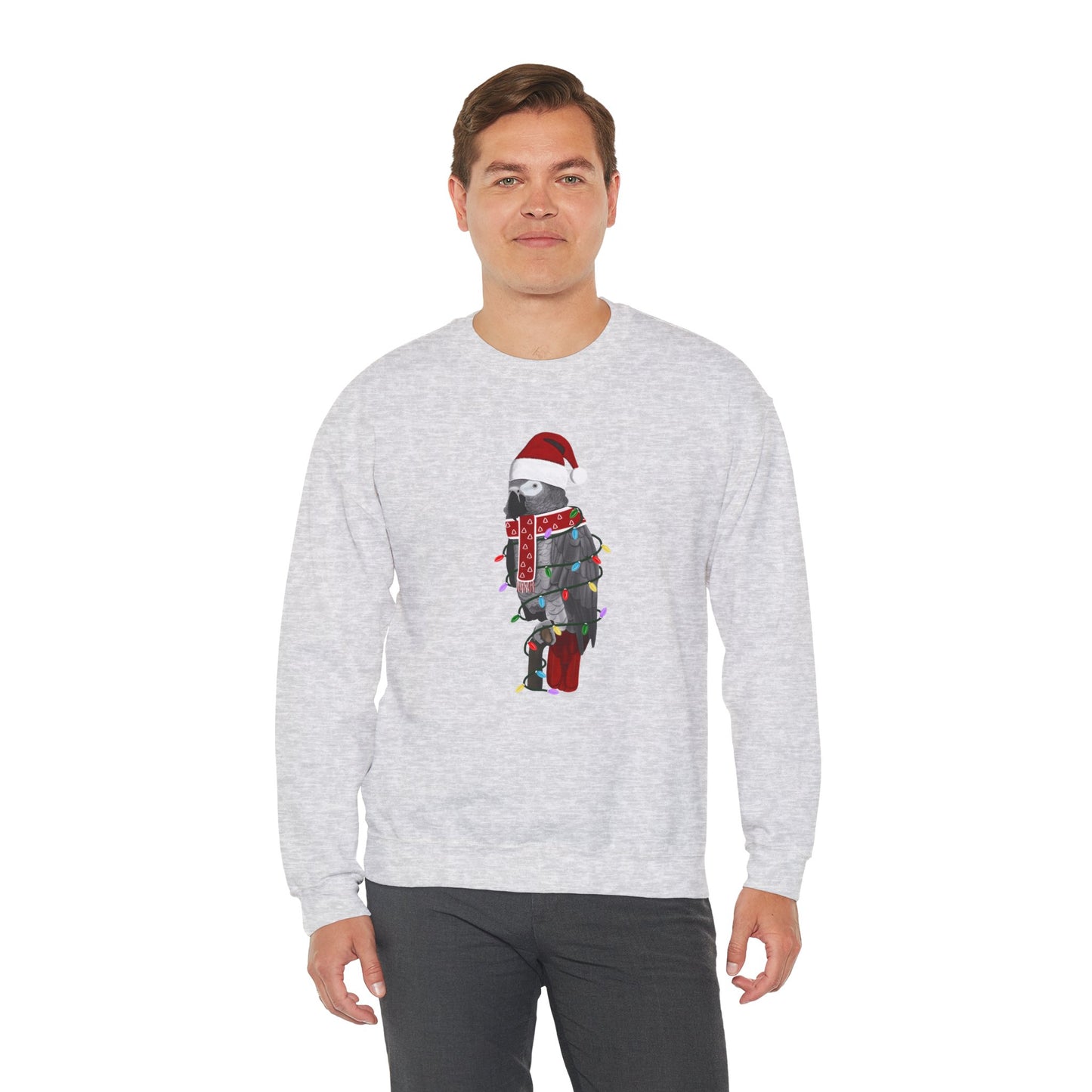 Grey Parrot with Fairy Lights Santa Claus Christmas Bird Sweatshirt