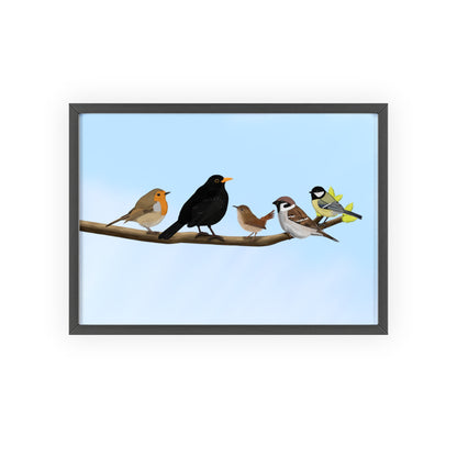Vogel Poster im Holzrahmen - Vögel auf einem Ast Poster Amsel Rotkehlchen Zaunkönig Spatz Kohlmeise