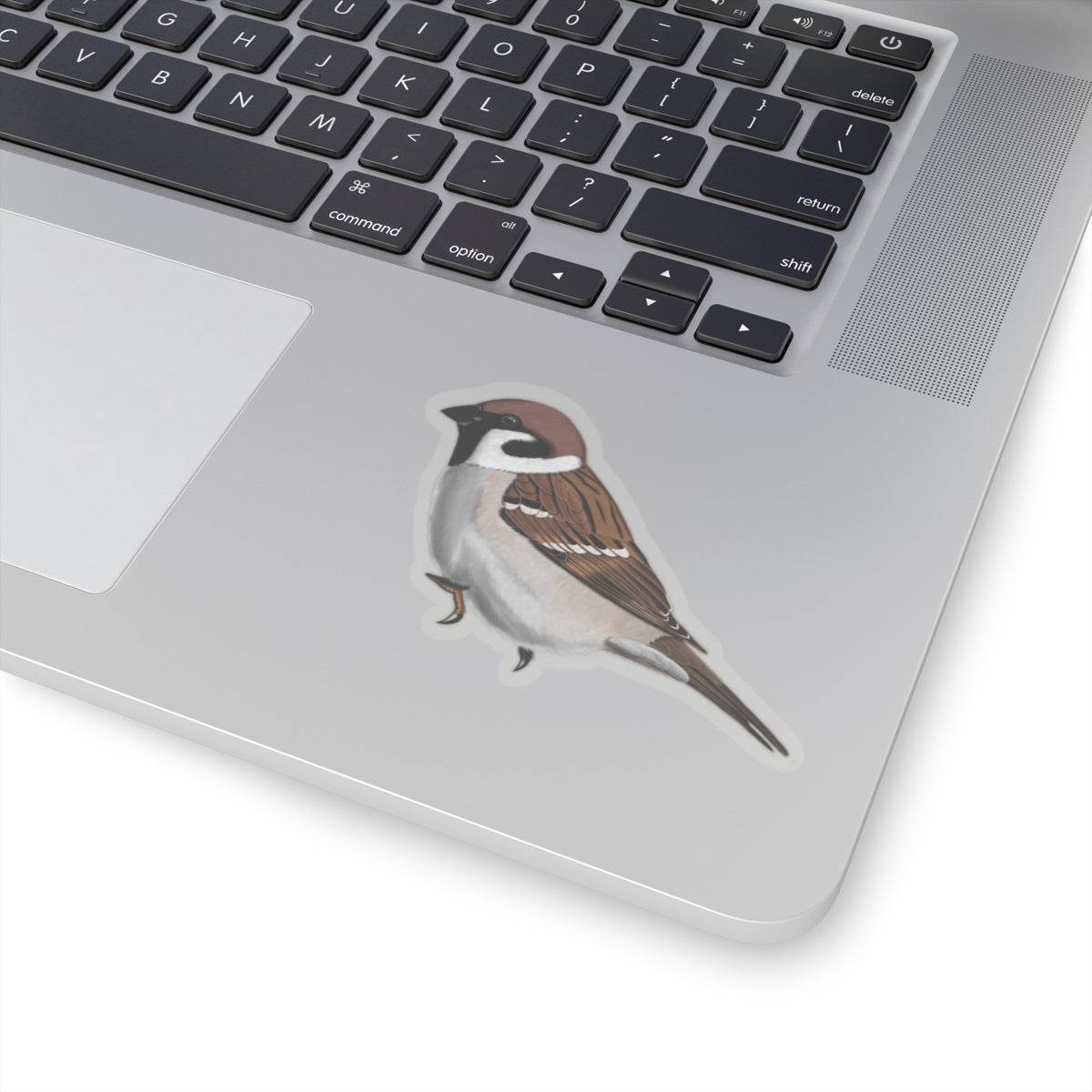 Tree Sparrow Bird Kiss-Cut Sticker