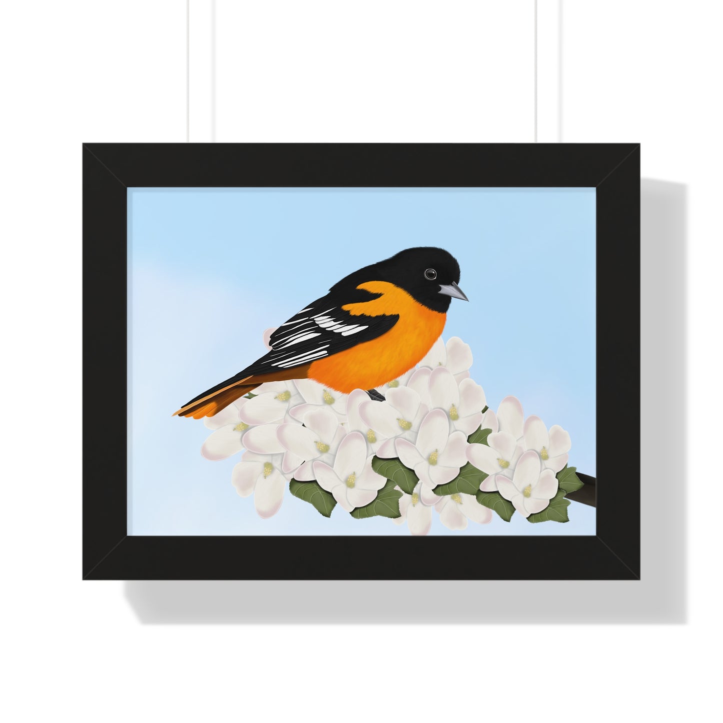 Baltimore Oriole Spring Blossoms Bird Framed Poster