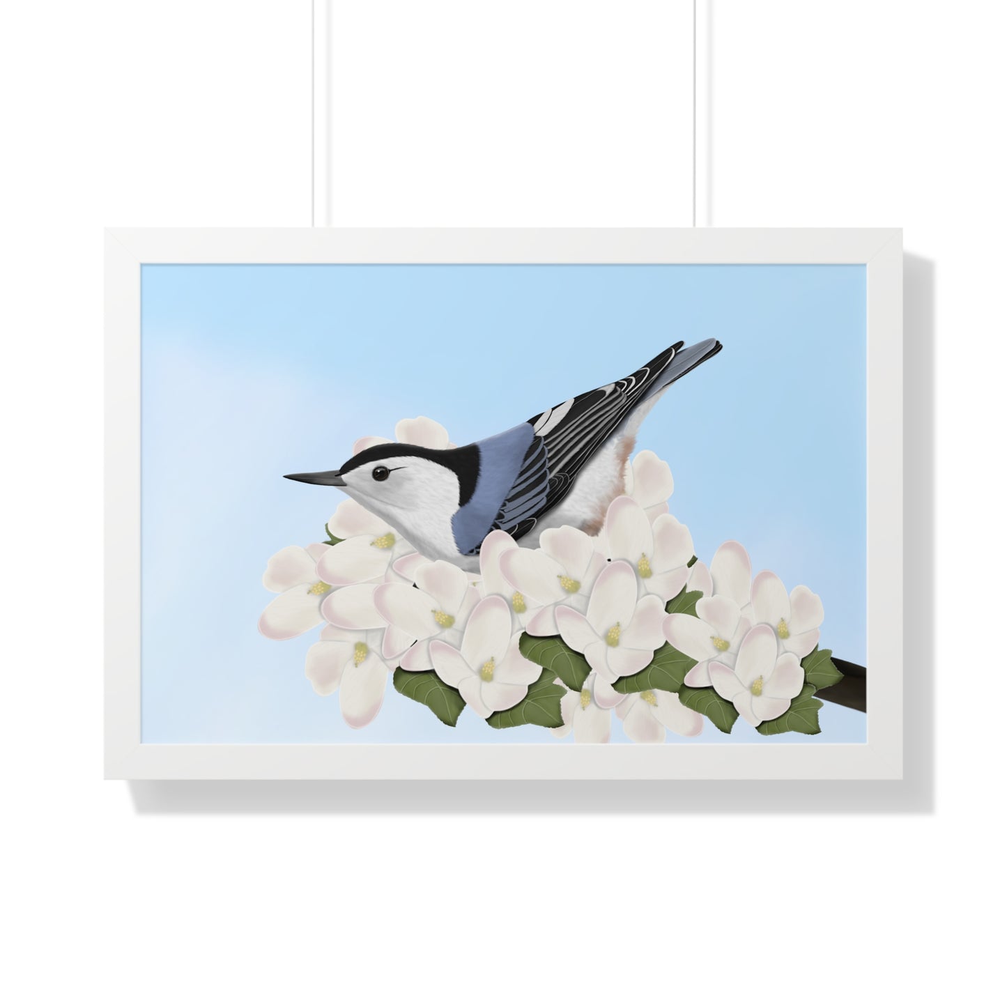Nuthatch Spring Blossoms Bird Framed Poster