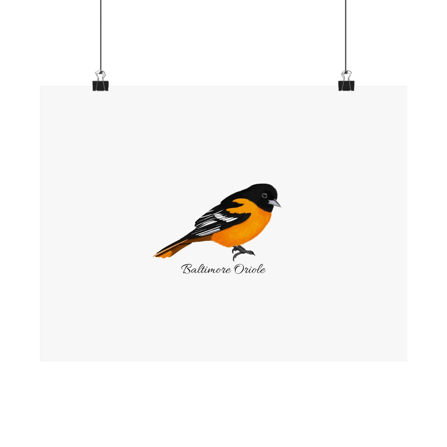 Baltimore Oriole Bird Birding Matte Poster