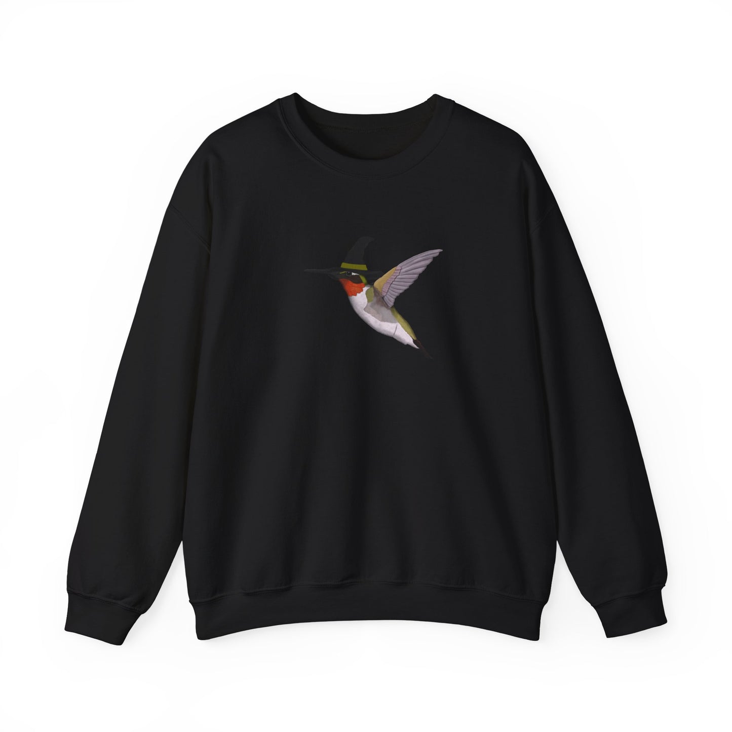 Hummingbird Halloween Birds Witch Birdwatcher Sweatshirt