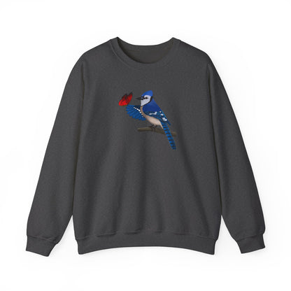 Blue Jay with Butterfly Bird Birding & Birdwatching Sweatshirt