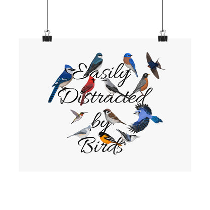 Easily Distracted by Birds Blue Jay Cardinal Bluebird Bird Birding Matte Poster