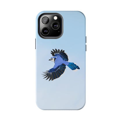 Blue Jay Bird Art Tough Phone Case