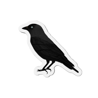 Western Jackdaw Bird Magnet