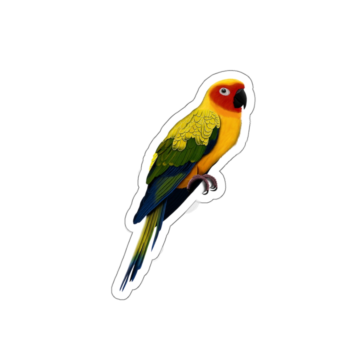 Sun Conure Bird Kiss-Cut Sticker