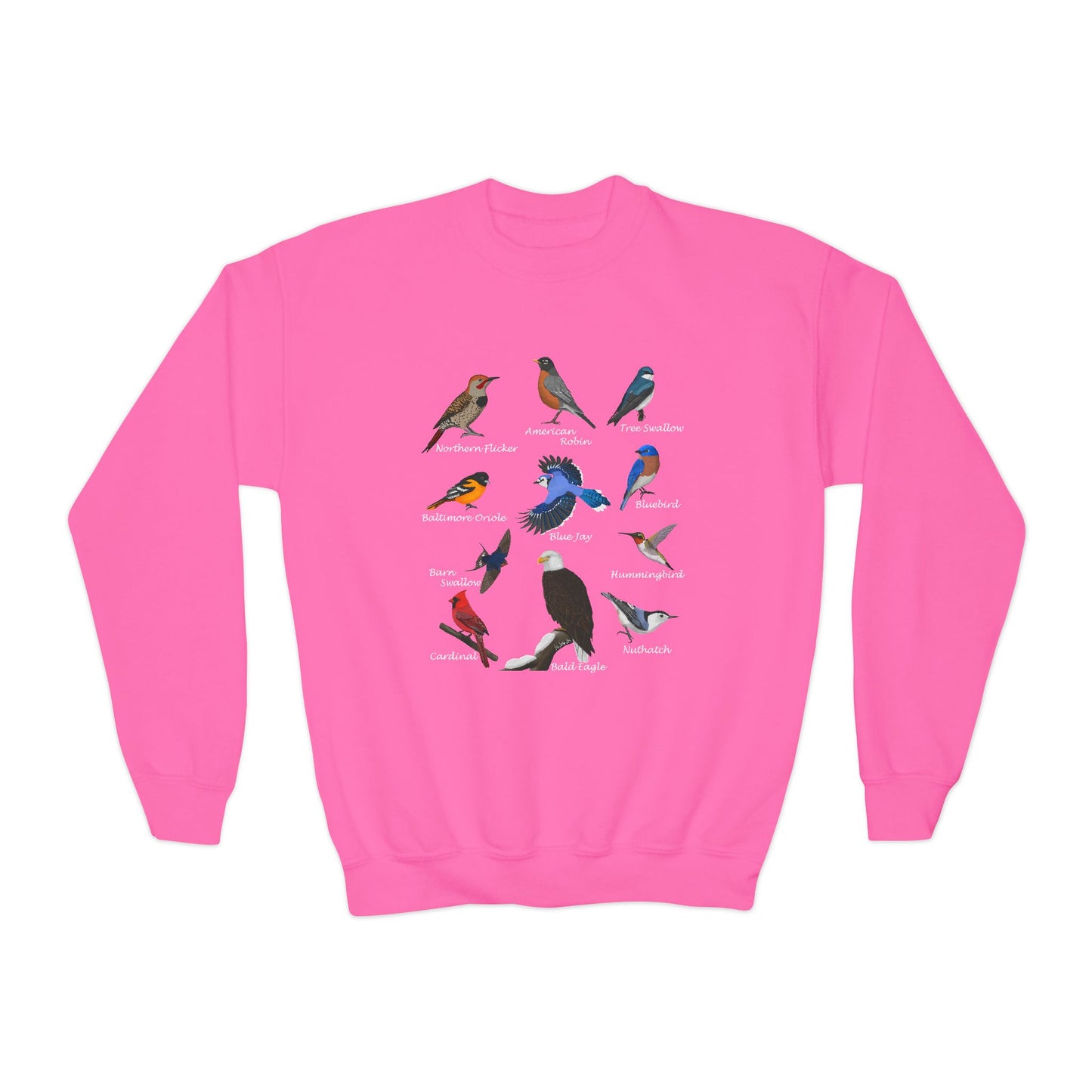 Bald Eagle Blue Jay Bluebird Robin Cardinal Hummingbird Bird Birdwatching Youth Crewneck Sweatshirt