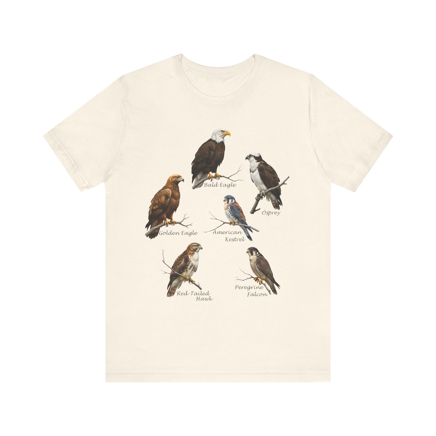 North American Raptors Shirt – Bald Eagle, Hawk, Osprey & Falcon Field Guide