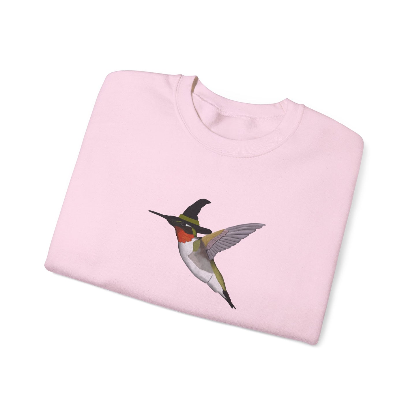 Hummingbird Halloween Birds Witch Birdwatcher Sweatshirt