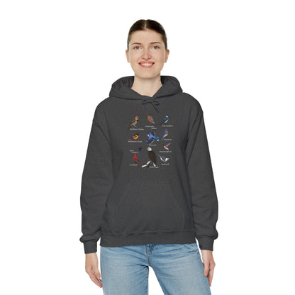 Blue Jay Cardinal Hummingbird Bald Eagle Robin Bird Hoodie