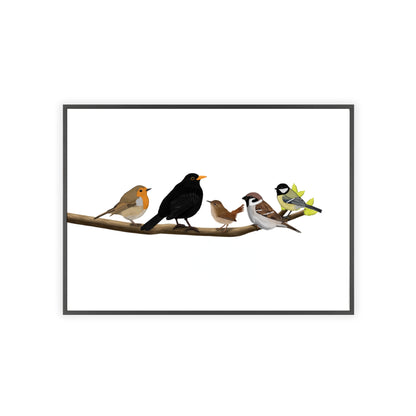 Vogel Poster im Holzrahmen - Vögel auf einem Ast Poster Amsel Rotkehlchen Zaunkönig Spatz Kohlmeise