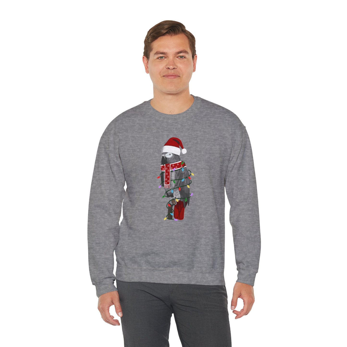 Grey Parrot with Fairy Lights Santa Claus Christmas Bird Sweatshirt