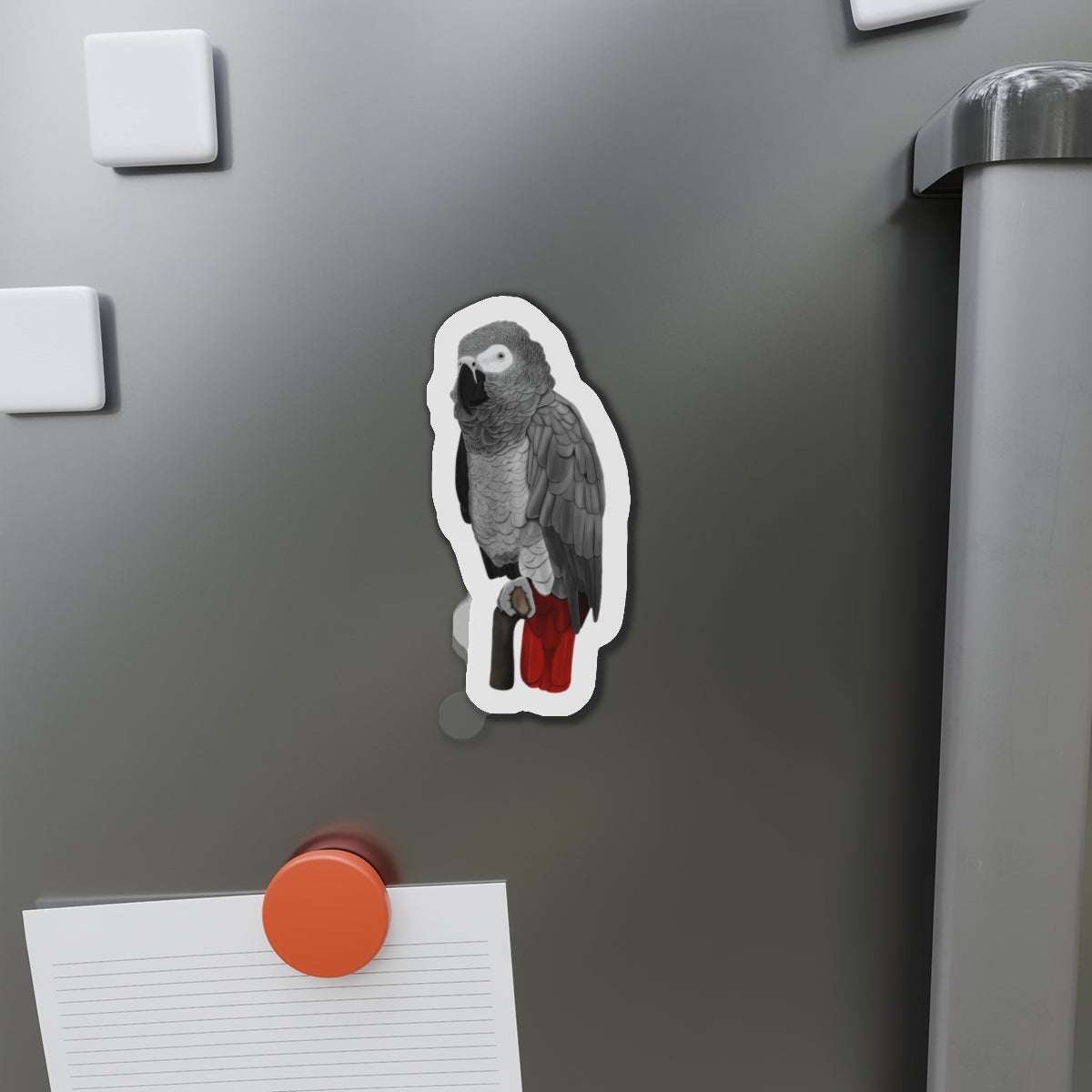 Grey Parrot Bird Magnet