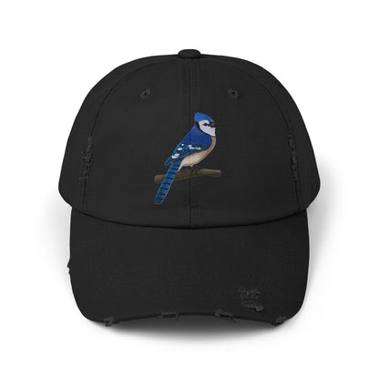 Blue Jay Bird Art Distressed Cap