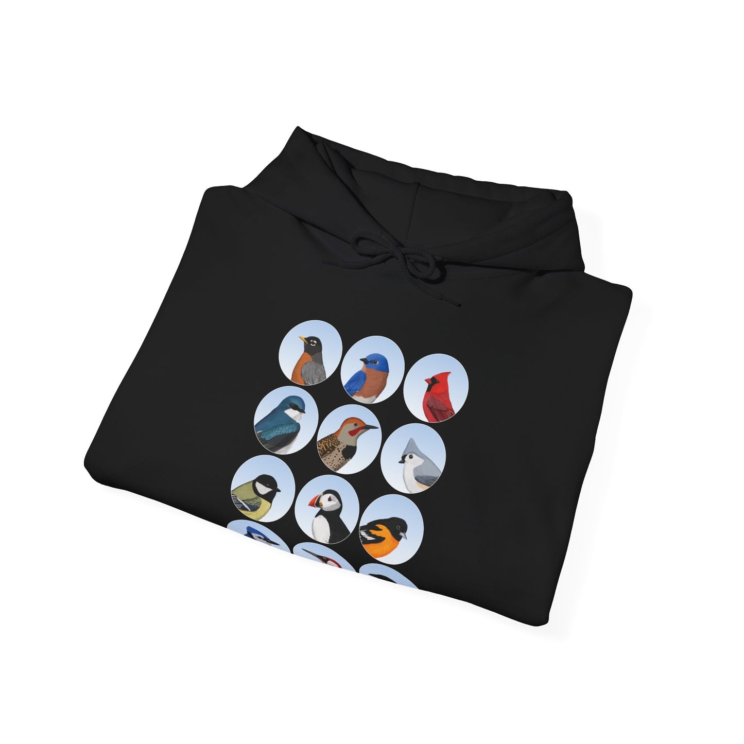 Birds Hoodie Bluebird Cardinal Blue Jay Robin Oriole Bird Lover & Bird Watcher