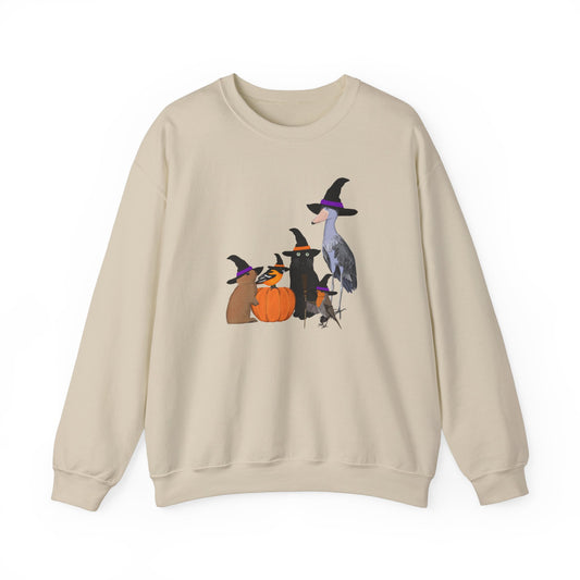 Robin Shoebill Oriole Rabbit with Cat Halloween Birds Sweatshirt