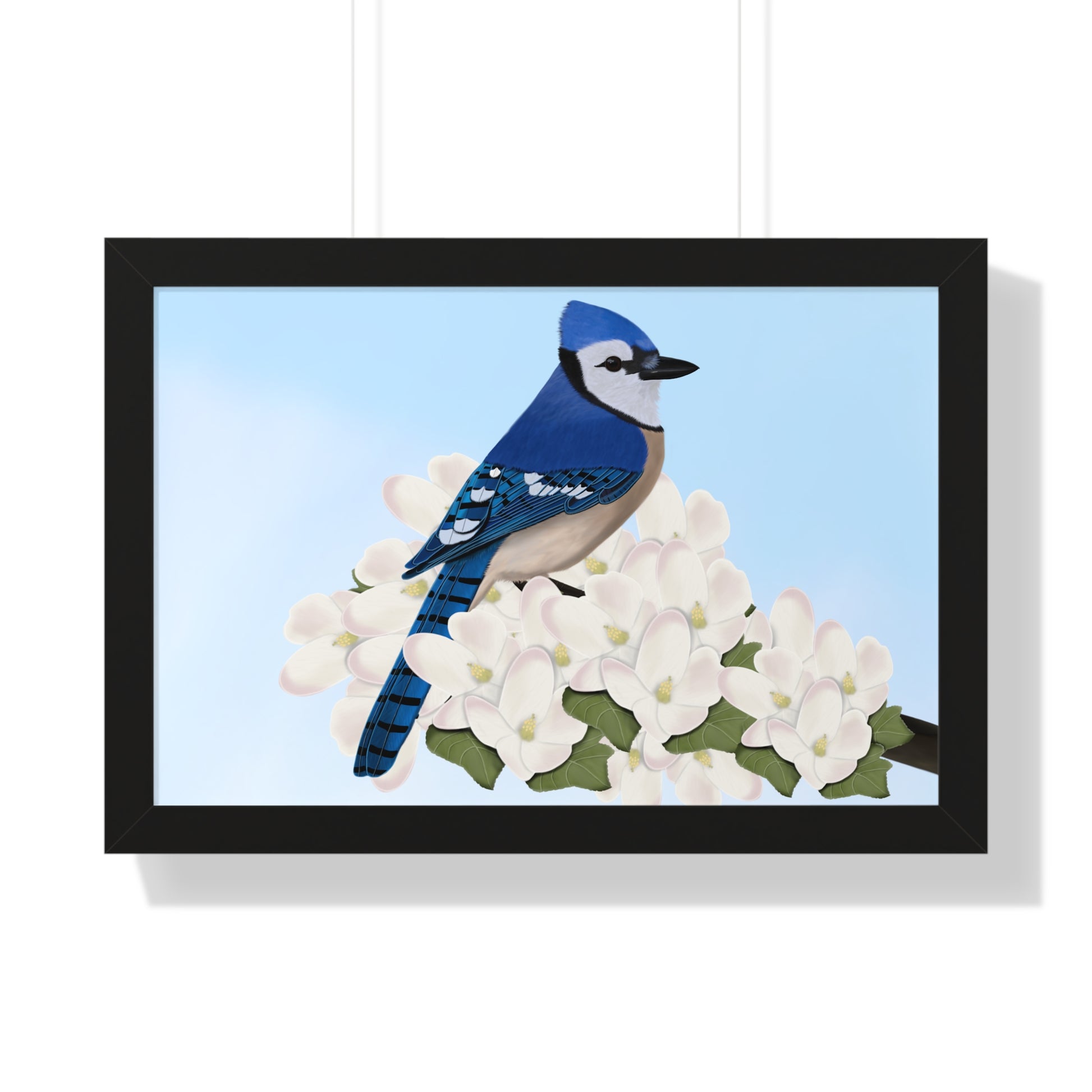 Blue Jay Spring Blossoms Bird Framed Poster –