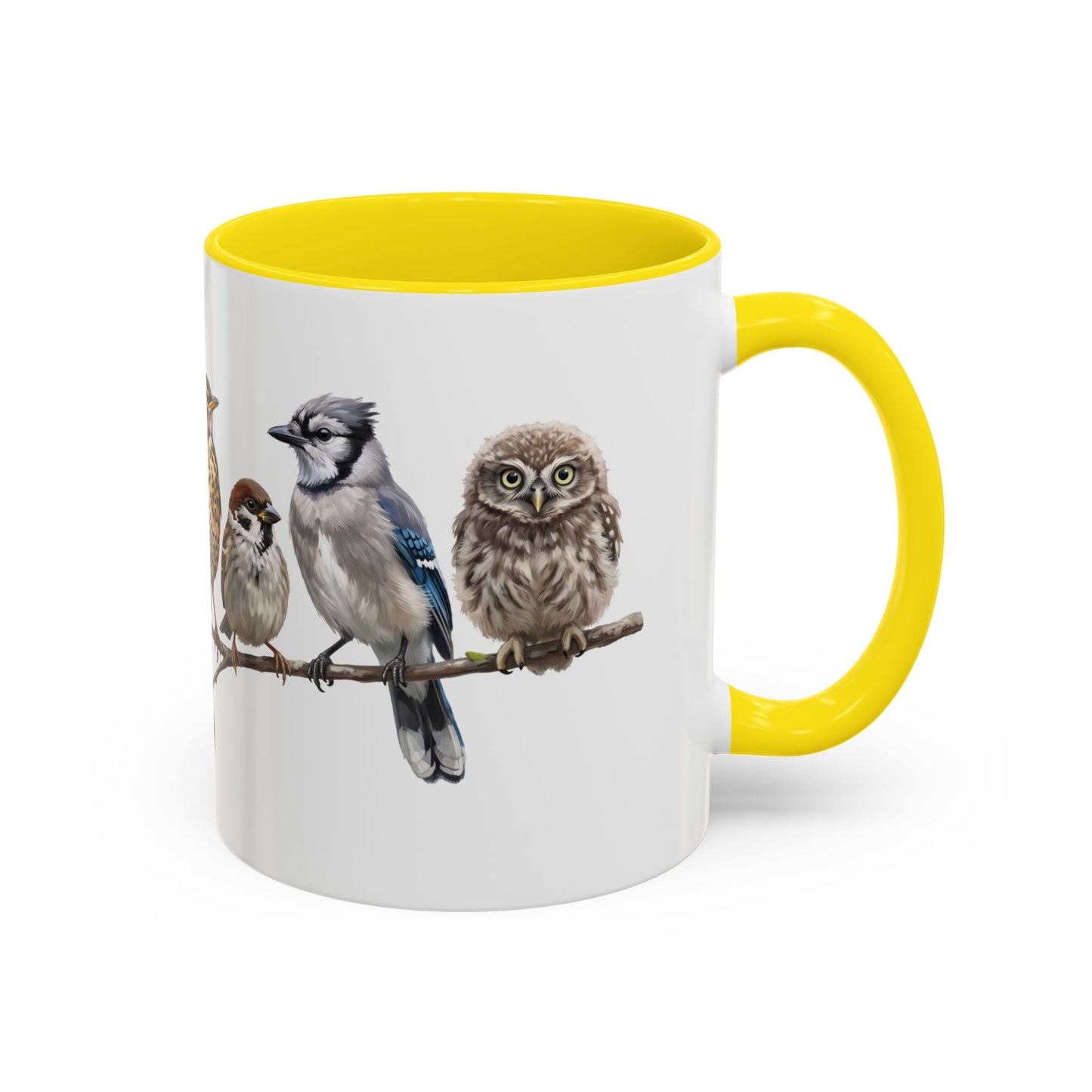 Blue Jay Cardinal Bluebird Little Owl Fledglings Two-Tone Mug | Spring Bird Lover Gift