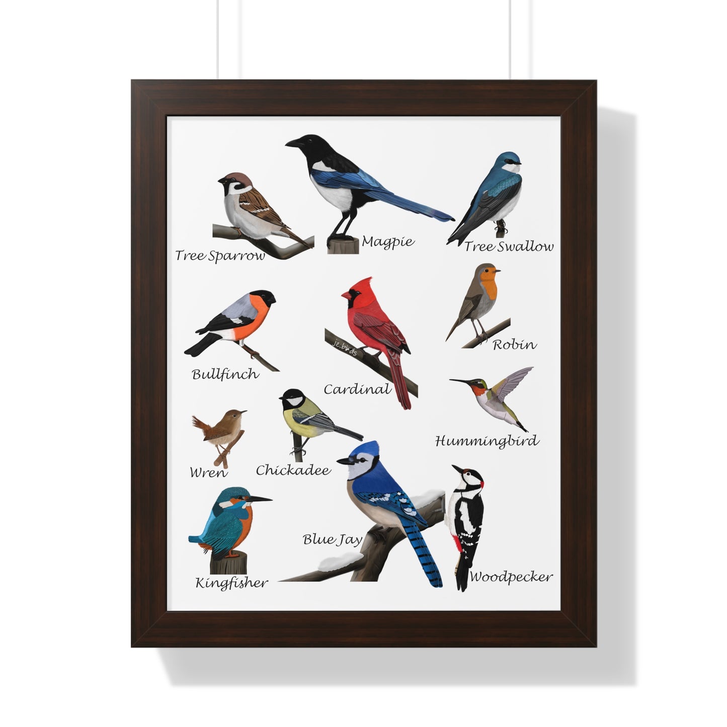 Garden Birds Blue Jay Cardinal Bullfinch Chickadee Framed Poster