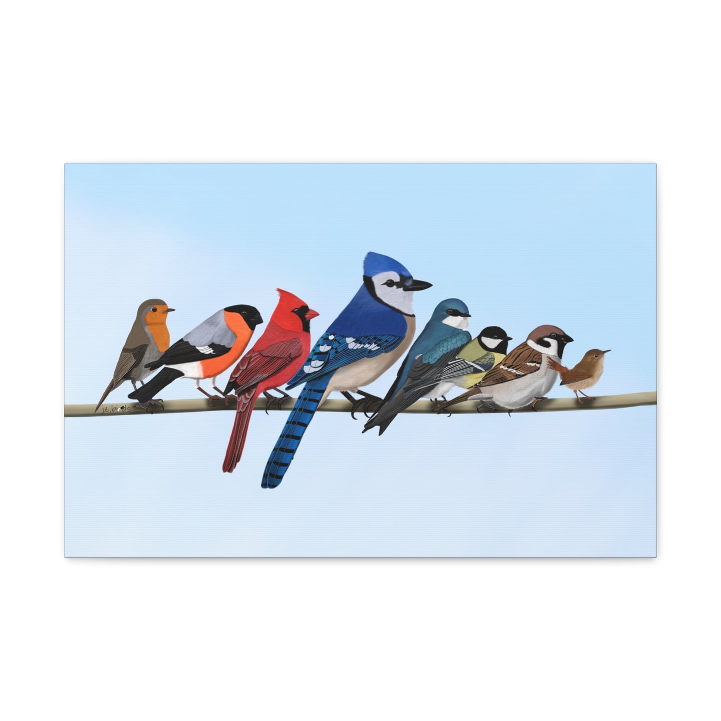 backard birds canvas gallery wrap